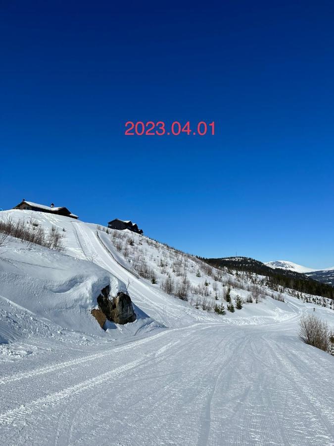 Perfect Moutain Getaway! Beautiful Apartment At Skagahogdi With Panoramic View Gol Kültér fotó