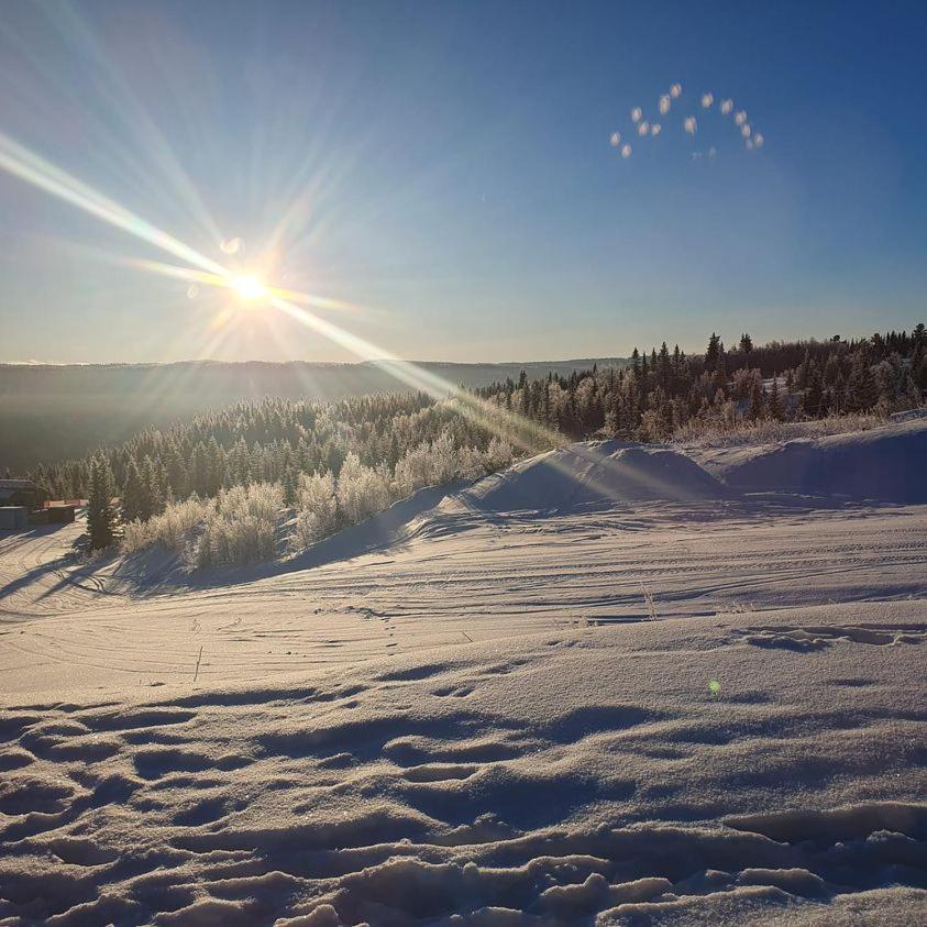 Perfect Moutain Getaway! Beautiful Apartment At Skagahogdi With Panoramic View Gol Kültér fotó